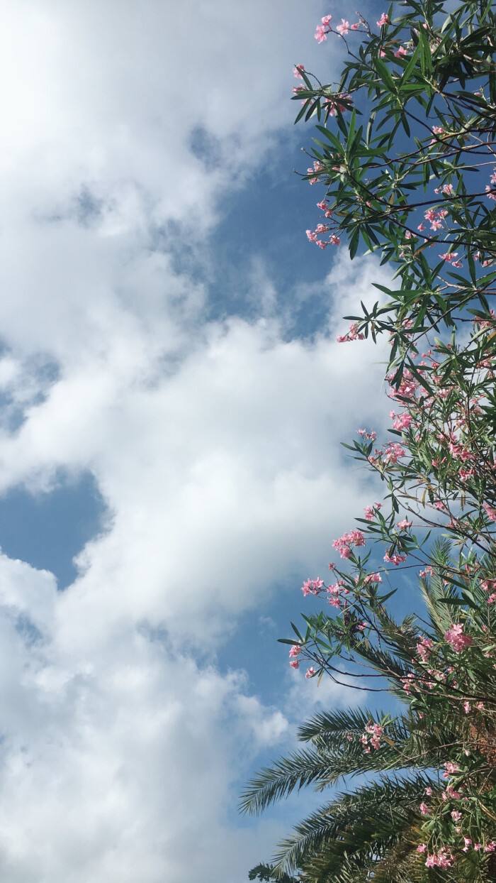 为什么岩板浴室柜那么受消费者欢迎？